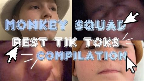 Monkey Squad Best Tik Tok Compilation Youtube