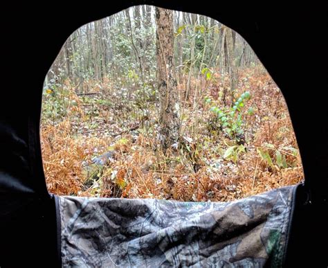 Deer Hunting From A Ground Blind Couldnt Be Easier