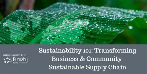 Sustainability 101 Transforming Business And Community Sustainable