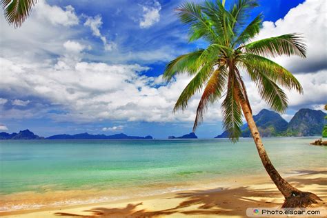 Free Download Beautiful Relaxing Tropical Scenery