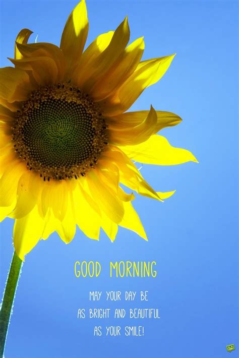 Keep on smiling and continue to be amazing every day. Early Motivation : Good Morning Quotes - Part 2