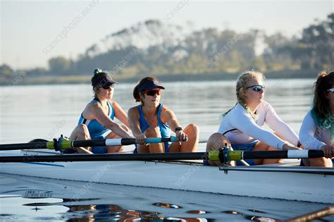 Female Rowing Team Rowing Scull On Sunny Lake Stock Image F0216452