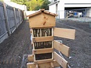 Guide to bee hive types - Learn the essential differences - Bees4life