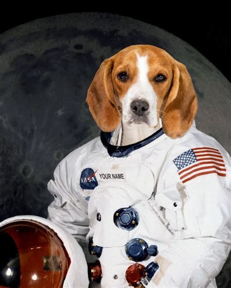 Pet Portrait As Nasa Astronaut Fun Dog Portrait Custom Portrait In