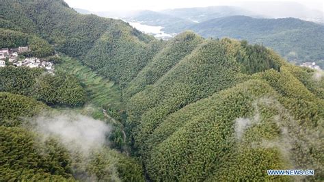 Scenery Of Mukeng Bamboo Forest Scenic Area In Chinas Anhui Xinhua