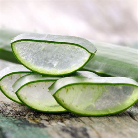 aloe barbadensis leaf juice herbacin