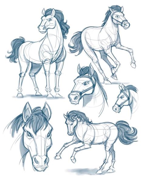 Practice Warm Ups Of Horses For Today 🐎 😁 Happy Wednesday Horses