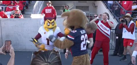College Football World Reacts To Hilarious Mascot Fight