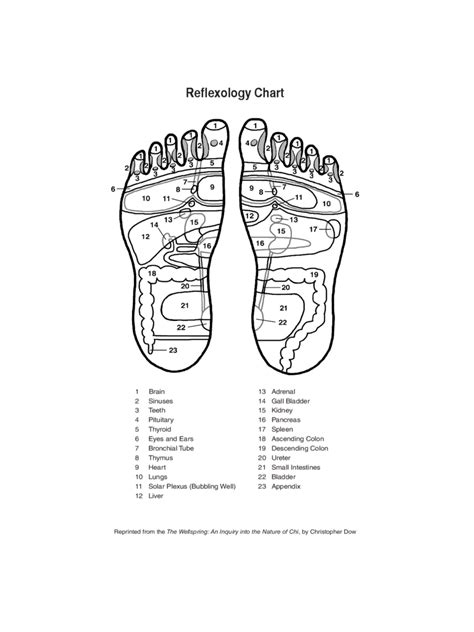 Reflexology Chart 3 Free Templates In Pdf Word Excel Download