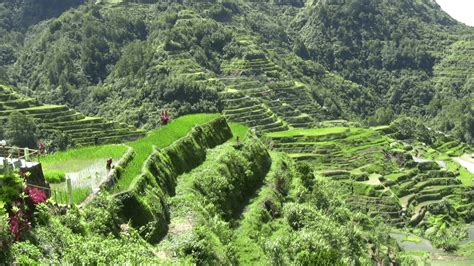 Banaue Rice Terraces Wallpapers Top Free Banaue Rice Terraces