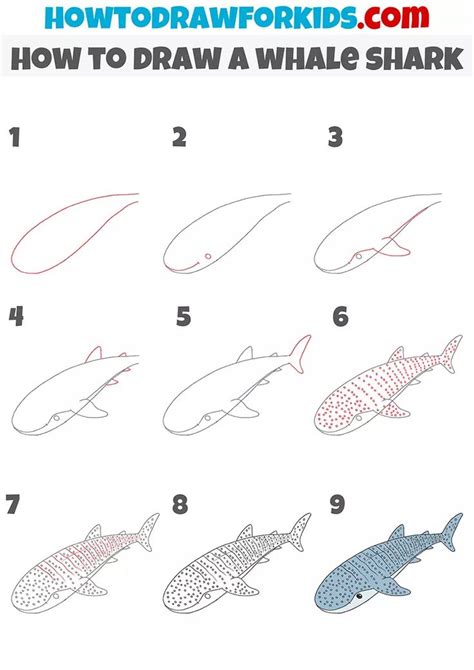 How To Draw A Whale Shark Easy Drawing Tutorial For Kids Shark