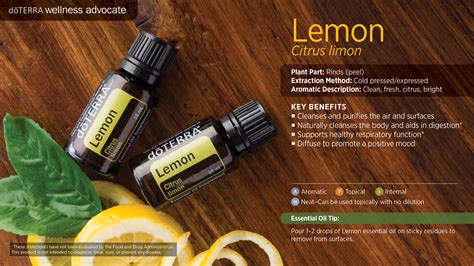 Doterra Lemon Essential Oil Uses With Diy And Food Recipes