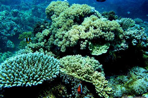 Queensland und seine sehenswürdigkeiten : Sonnige Queensland Sehenswürdigkeiten - Sorglos Reisen ...