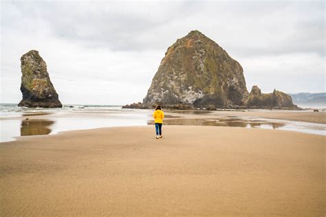 15 Irresistible Oregon Coast Beaches To Explore This Summer