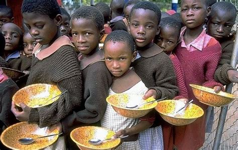 Unicef Pelo Menos 15 Milhões De Crianças Subnutridas Na África Austral E Oriental Não Recebem