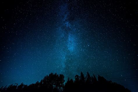 Wallpaper Pohon Pemandangan Langit Bayangan Hitam Bintang Bima