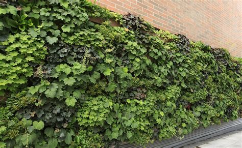 Outdoor Livewall Green Wall System