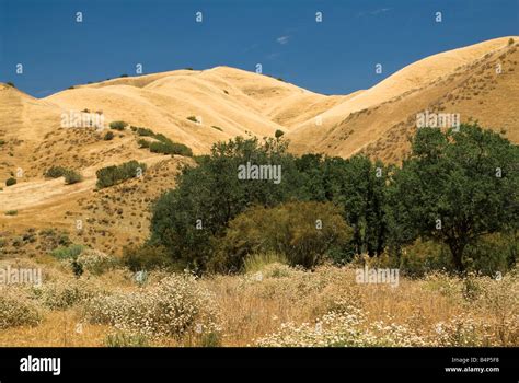 Diablo Range Hills From Los Gatos Road Fresno County California Usa