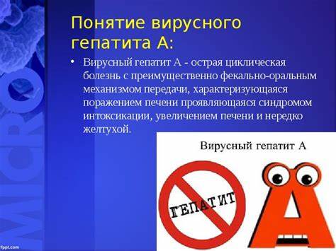 Характеристика диеты гепатит Тема: Профилактика вирусного гепатита А и Е Тема: Профилактика вирусного гепатита А и Е Характеристика диеты гепатит