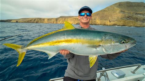 Huge California Yellowtail Catch Clean Cook Deep Sea Island Fishing