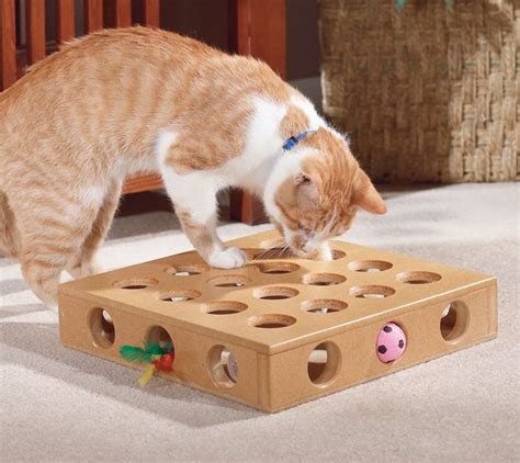 10 Best Cat Toys For Bored Cats To Keep Them Entertained Pets Carter