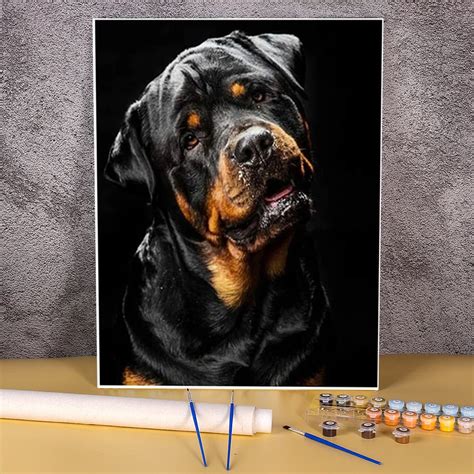 Animal Dog Rottweiler Diy Paint By Numbers Set Oil Paints 5070 Paiting