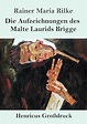 Få Die Aufzeichnungen des Malte Laurids Brigge (Großdruck) af Rainer ...