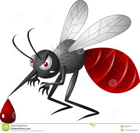 Cartoon Mosquito Stock Illustration Illustration Of