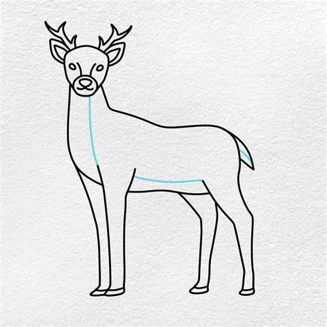 How To Draw A Deer Helloartsy