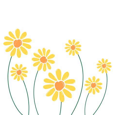 Yellow Daisy Png