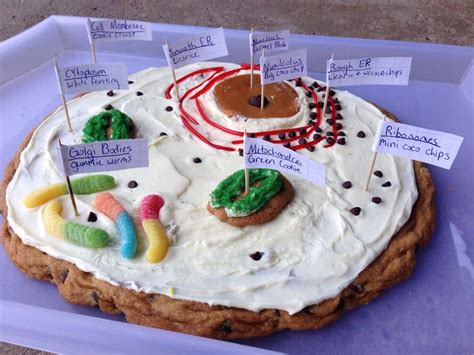 Animal Cell Made Of Cake Pin On Cell Cake Animal Cells Contain