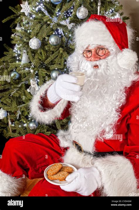 Santa Claus In Front Of A Christmas Tree Eating Cookies And Milk Stock