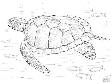 Sea Turtle Coloring Pages Kidsuki