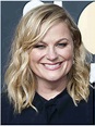 Amy Poehler Biography, Net Worth, Height, Age, Weight, Family, Wiki ...
