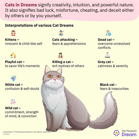 Dreaming Of Cats In Depth Dream Interpretations Of Cats