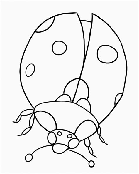 You can print or color them online at getdrawings.com for absolutely free. Vw Bug Drawing | Free download on ClipArtMag