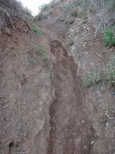 Multi-use Trails Coalition: Arroyo Burro Erosion Control