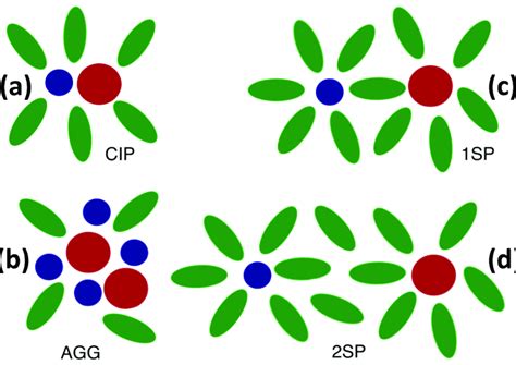 Schematic Illustration Of Distinct Ion Complex States A Direct