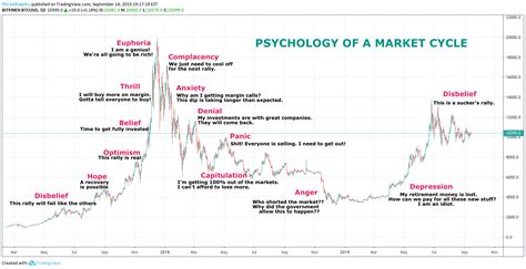 Litecoin Chart Tradingview Psychology Of A Market Cycle