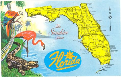 Vintage Florida Postcards