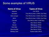 Pictures of Common Computer Virus Names