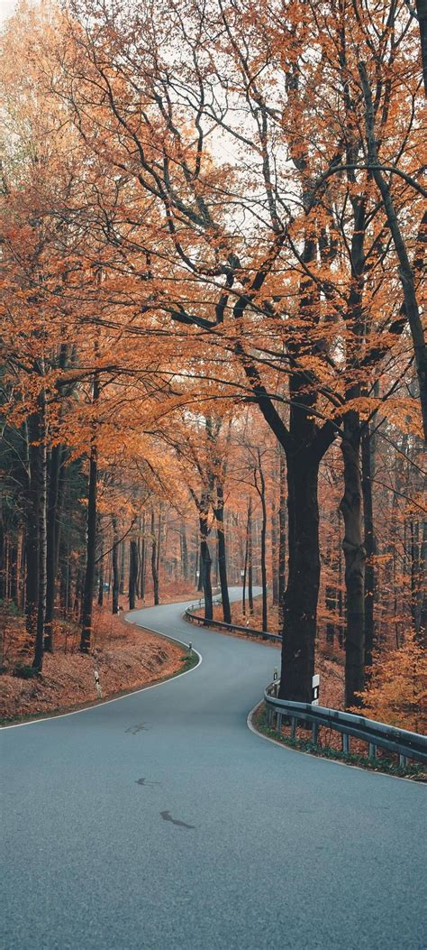 Download Redmi Note 10 Winding Autumn Road Wallpaper