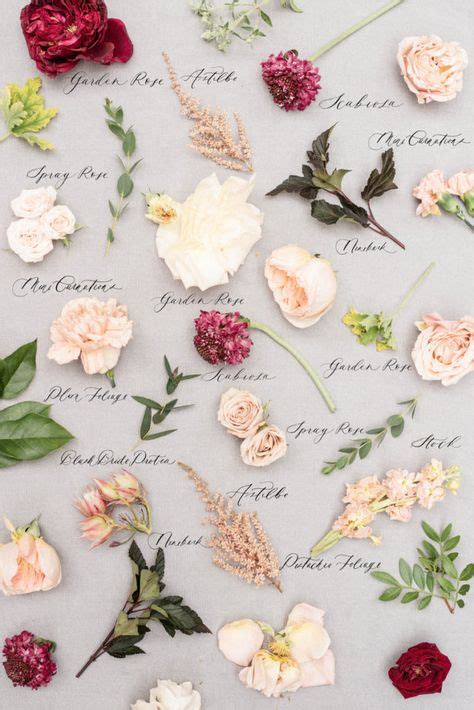 21 Flower Names Ideas In 2021 Flower Names Flower Arrangements