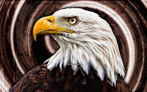 Download Wallpapers 4k Bald Eagle Brown Grunge Background Usa Symbol