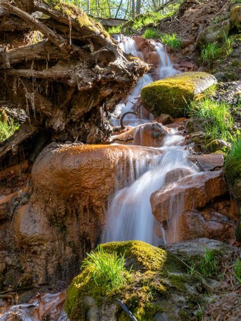 Spring River Waterfall Stones Green Moss And Spring Trees David S