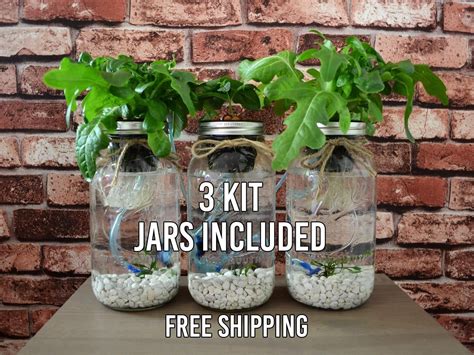3 Mason Jar Aquaponics Kit Build Your Own Hydroponics Herb Etsy