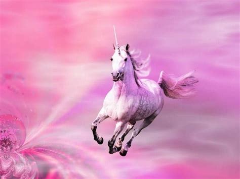 Unicorns Wallpaper Pink Shimmers Unicorn Wallpaper Unicorn Images