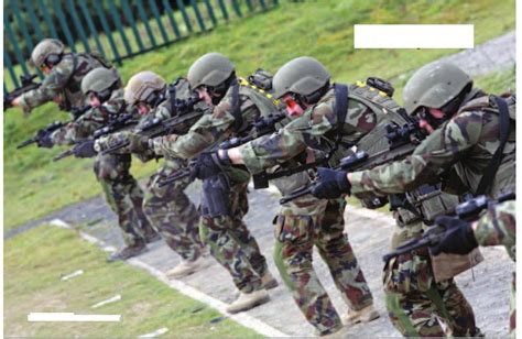Sciathán fianóglach an airm) is the special forces unit of the irish defence forces. HK416 in action - Page 162