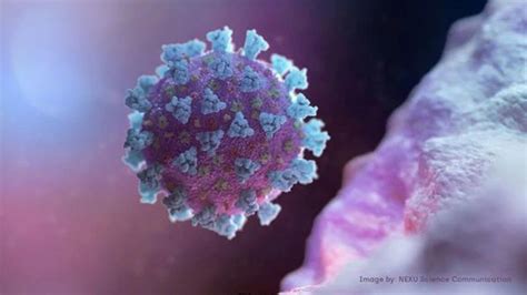 There is concern the new delta plus variant may not respond to a popular treatment for coronavirus. भोपाल में मिला मध्य प्रदेश का पहला 'डेल्टा प्लस' वैरिएंट ...