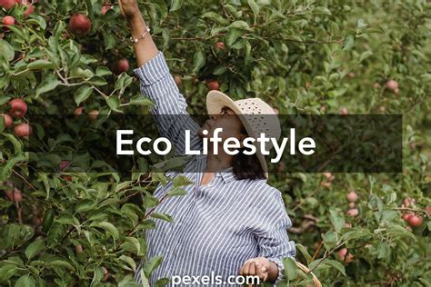 Eco Lifestyle · Pexels